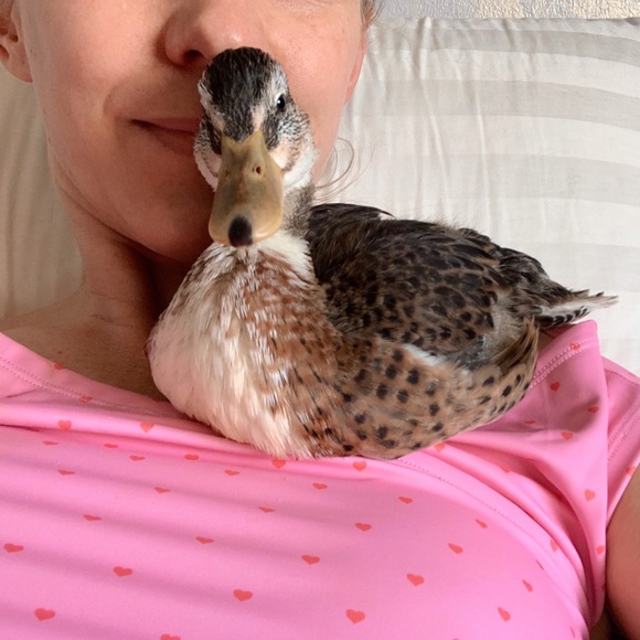 Meet your Posher, D - Picture 2 of 2